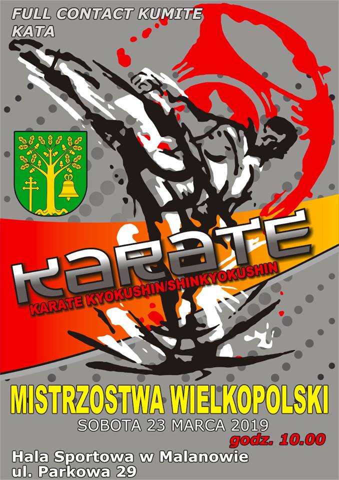 Ogólnopolski Turniej Shinkyokushin Karate w Malanowie;23.03.2019